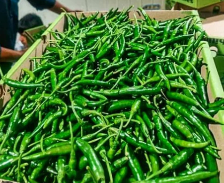 Green Chilly